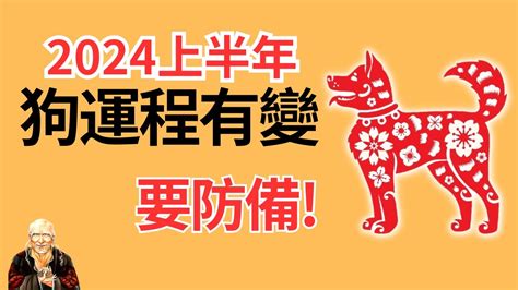 2024狗年運程1982|1982年属狗人2024年全年运势 1982年属狗2024年运势每月运势